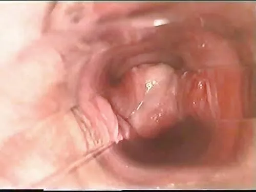 Руски порно лесбийки ...