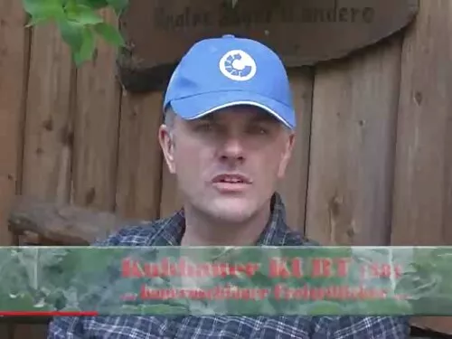 Нежно младо лизане н ...